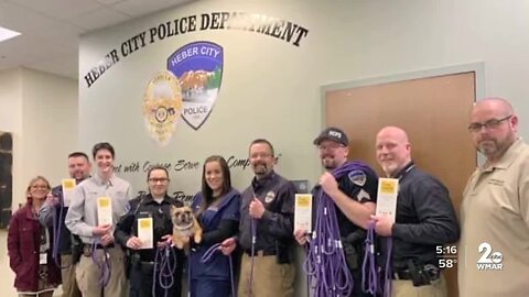 Love Leads Project provides free tools to law enforcement to save, protect animals