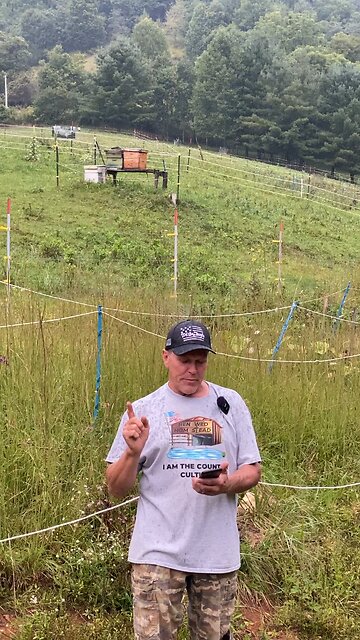 Did You Know? Thou Shalt Not Eat The Bugs