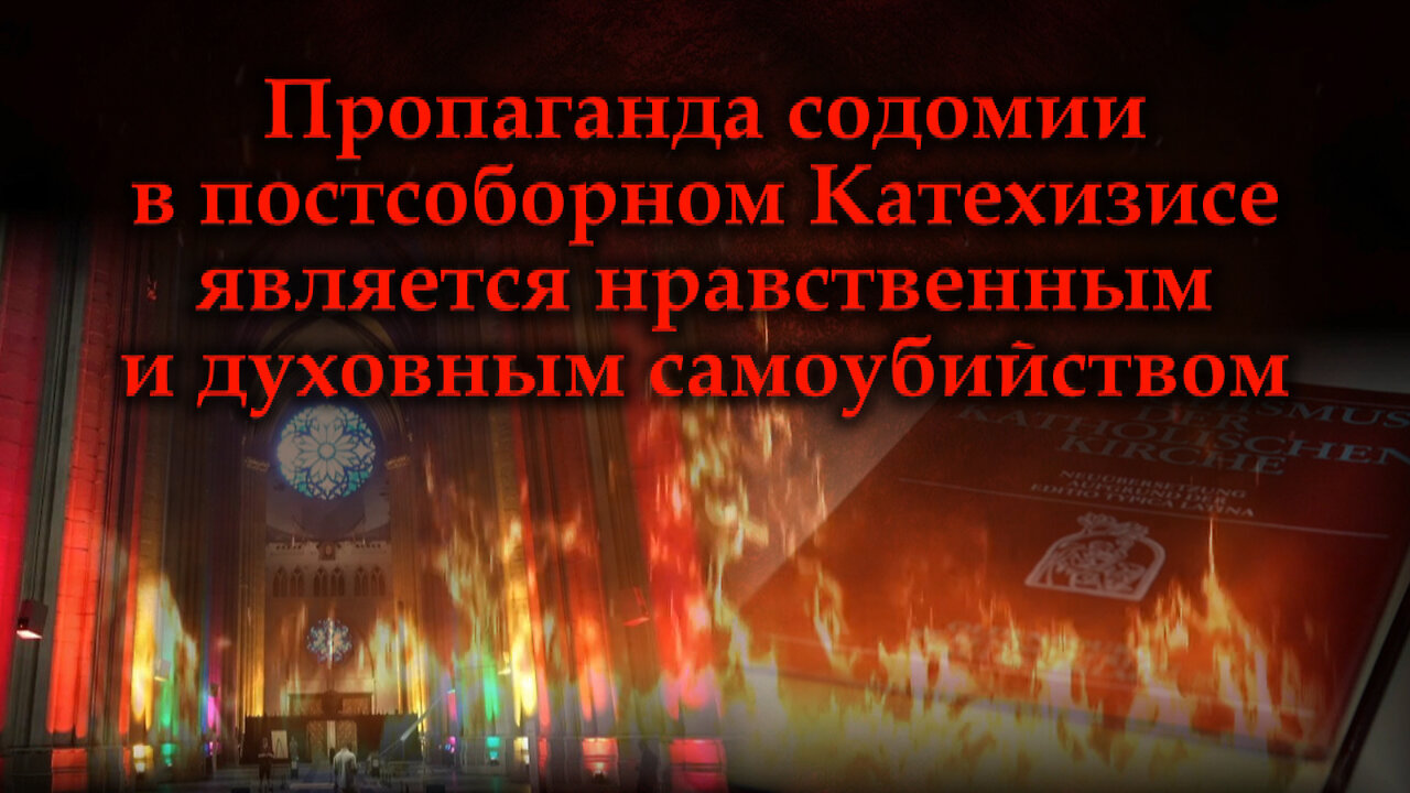 ВВП: Пропаганда содомии в постсоборном Катехизисе является нравственным и духовным самоубийством