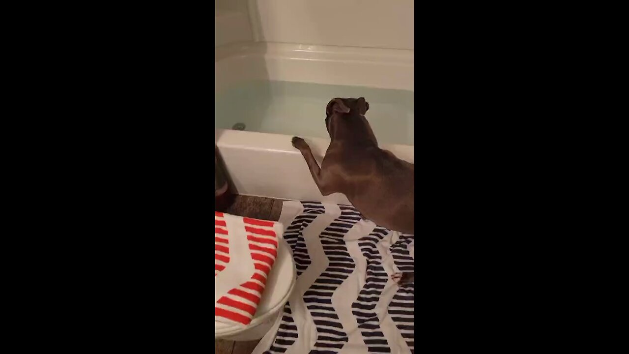 Gotta dip the toes in fist…