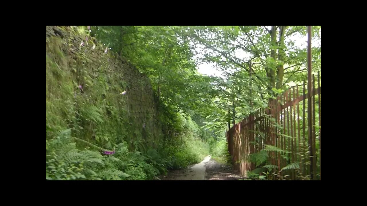 Huddersfield Narrow canal walk from Ramsden mill Huddersfield part 1