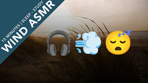 WIND AMSR SOUNDS 💨 SLEEP IN 15 MIN!