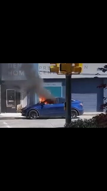 Tesla Locked Driver In Car As It Burst Into Flames - HaloNews