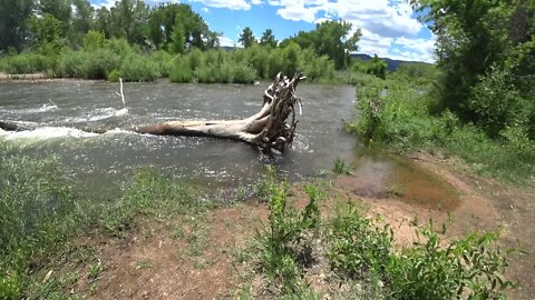 Raw Footage singletrack between Chatfield and Waterton Canyon