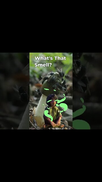 Bruno Stinks! #Shorts 😮