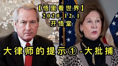 【悟里看世界】KWT372 201201-02 dlsdts(1)) 大律师的提示(1)-大批捕