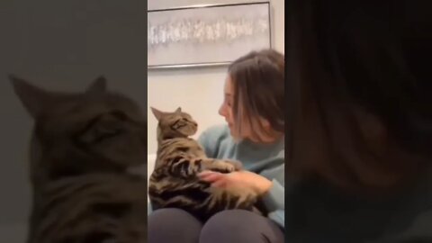 Dad...I'm just a baby..🐈🐾🙊😅😍