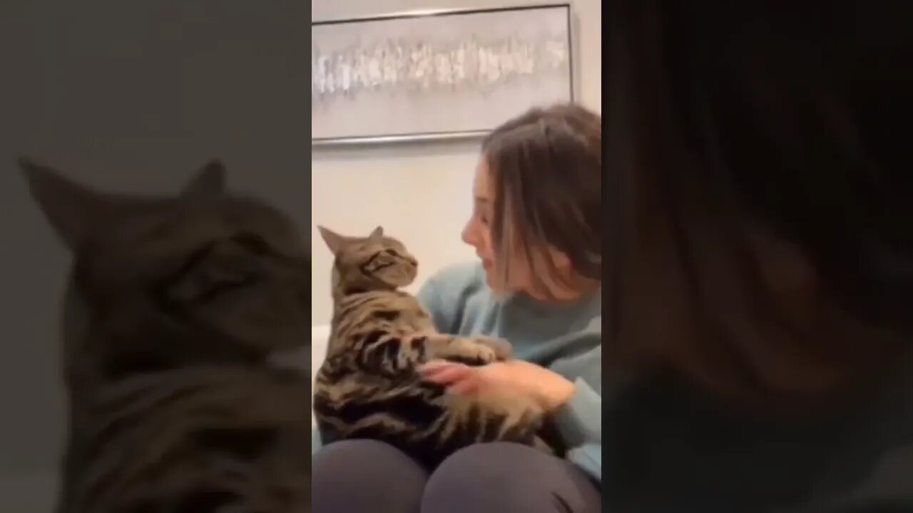 Dad...I'm just a baby..🐈🐾🙊😅😍