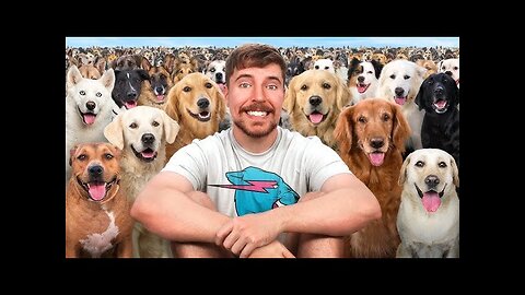 I rescued 100 abandoned dog!