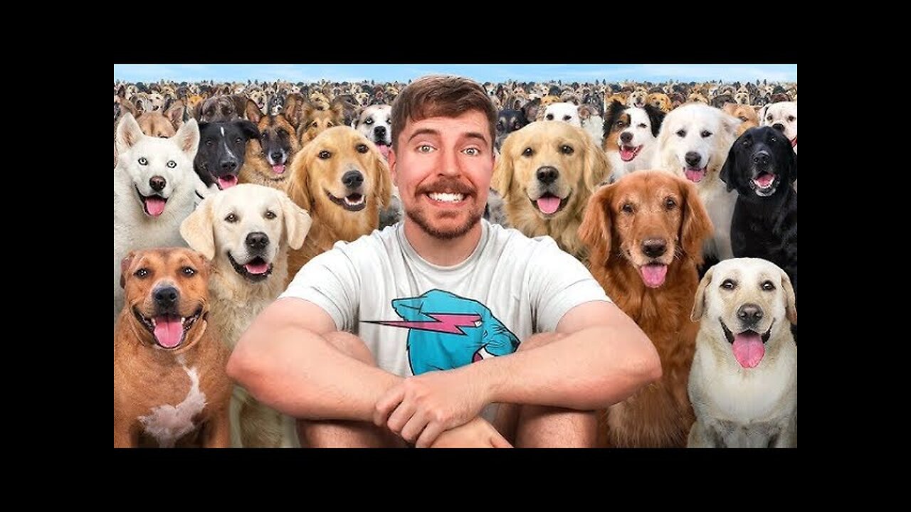 I rescued 100 abandoned dog!