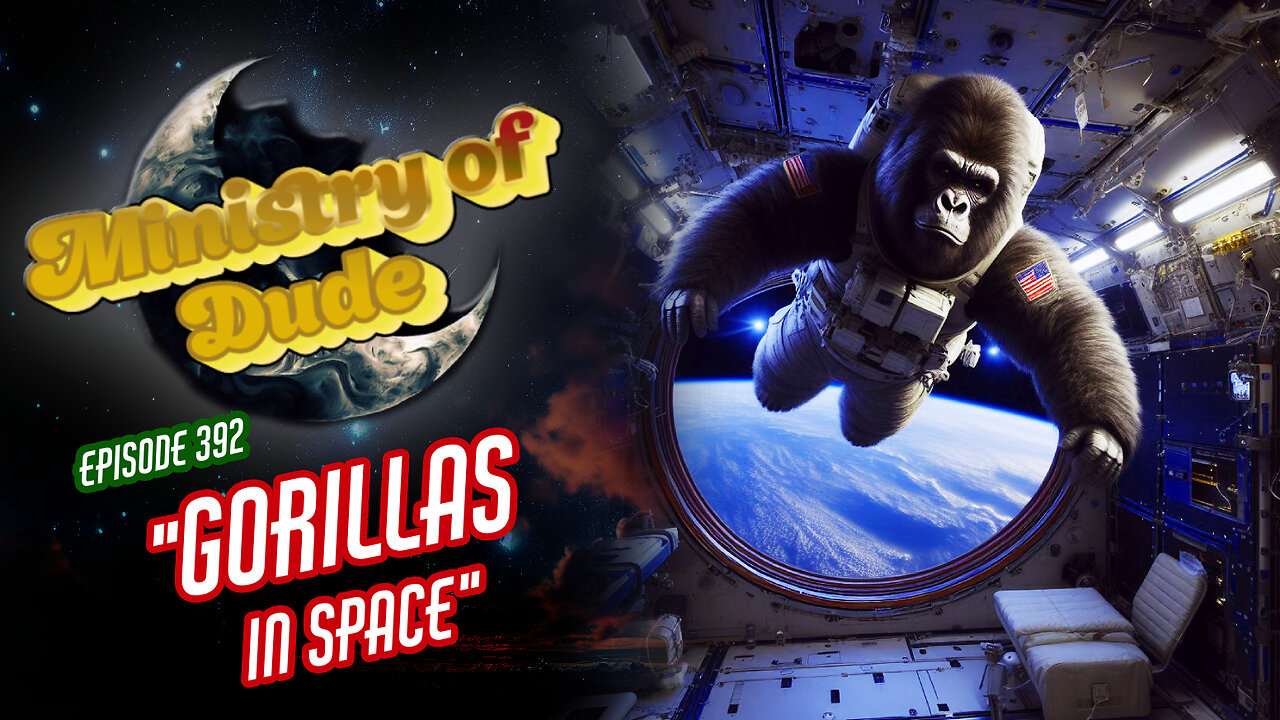 Gorillas In Space | Ministry of Dude #392