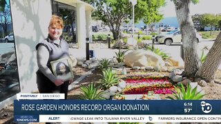 Rose garden honors record donation