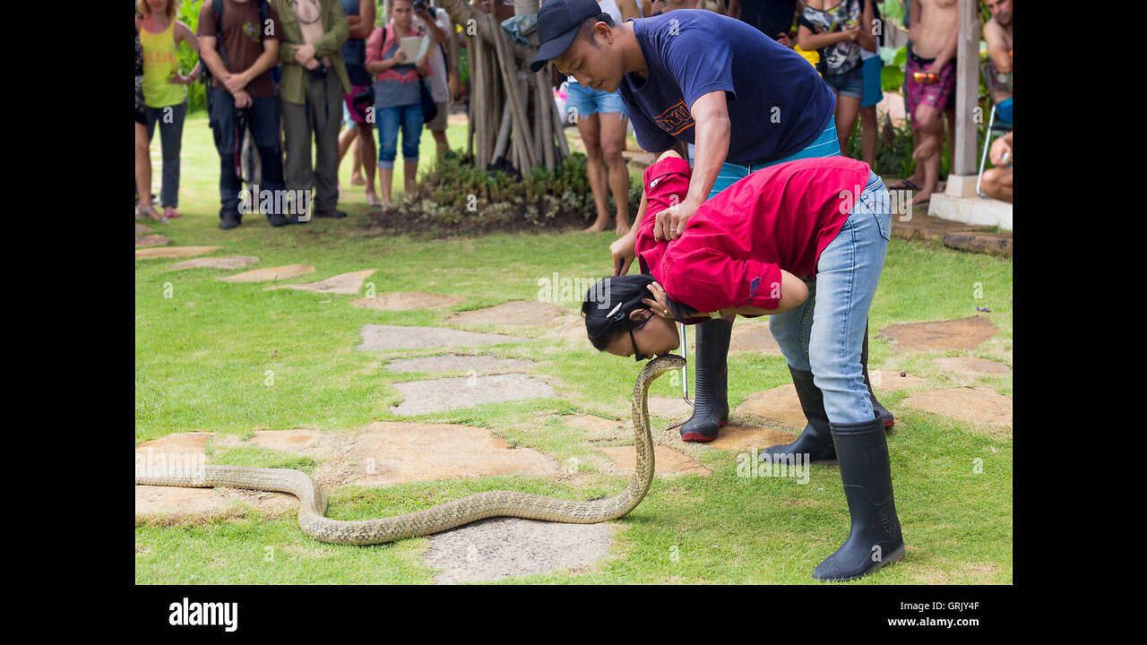 New Movie Real snake and human fighting in forest 😲😳