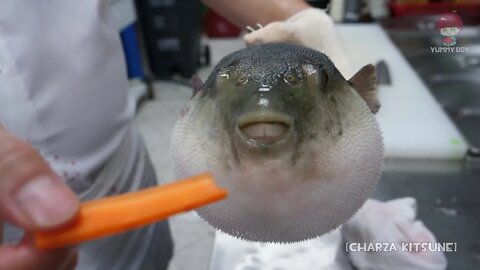 Fish Say The Darndest Things