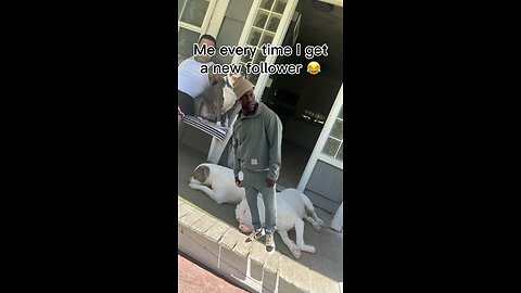 😂