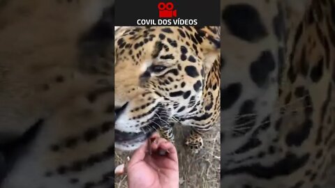 mistura de amor e coragem