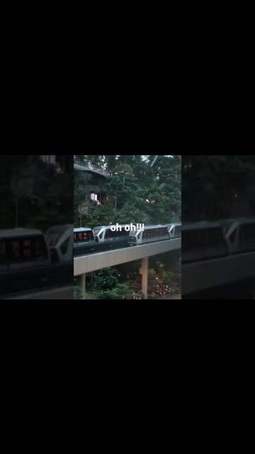 Two opposing trains under Waterfall ! #short