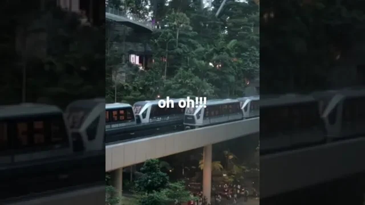 Two opposing trains under Waterfall ! #short