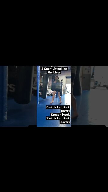 4 Count Attacking the Liver