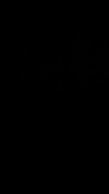 Make Wildwood Great Again