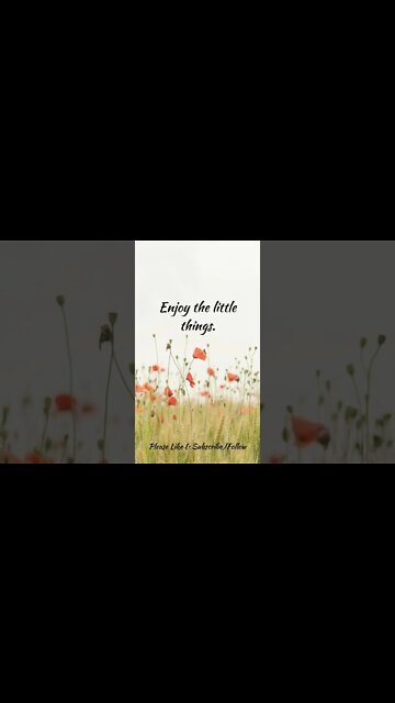 Enjoy the Little Things