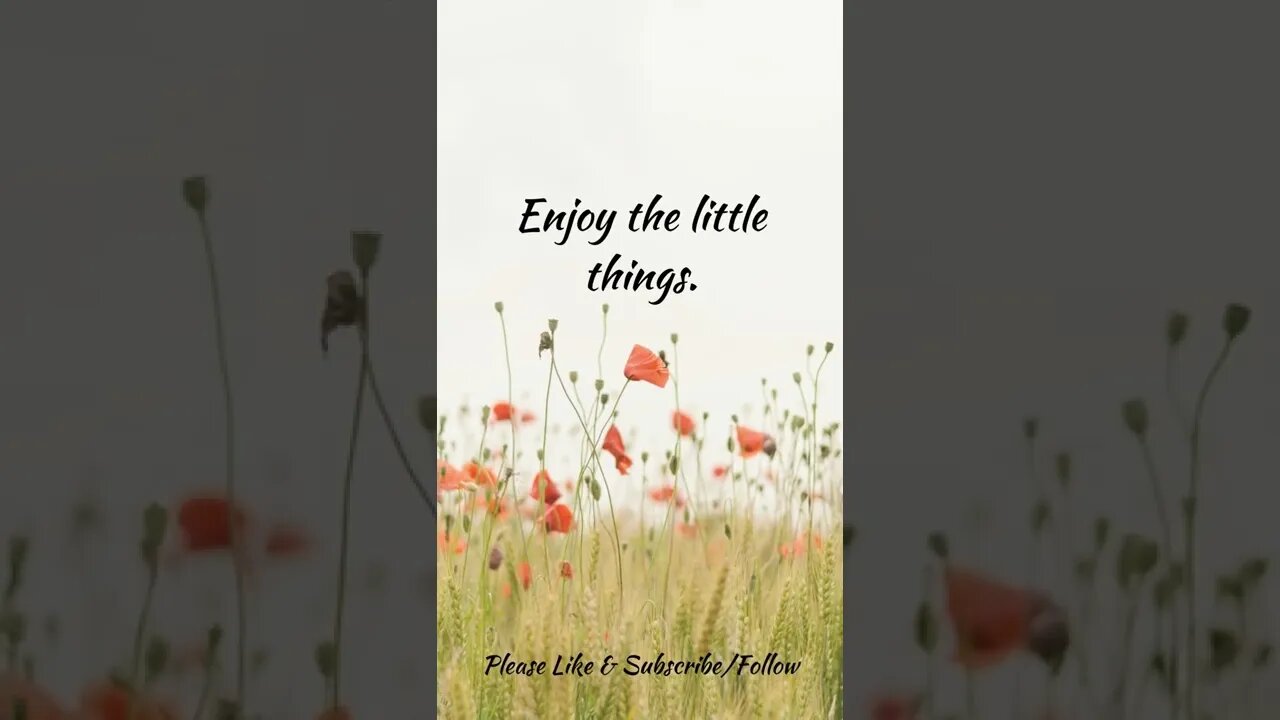 Enjoy the Little Things