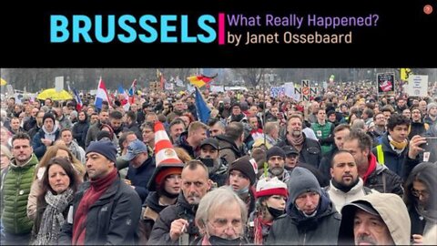 Brussels | Janet Ossebaard - WHAT REALLY HAPPENED?