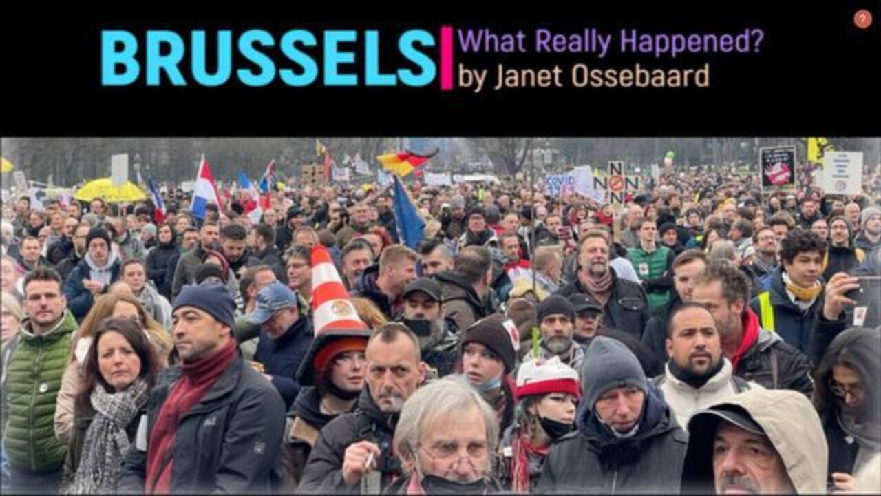 Brussels | Janet Ossebaard - WHAT REALLY HAPPENED?