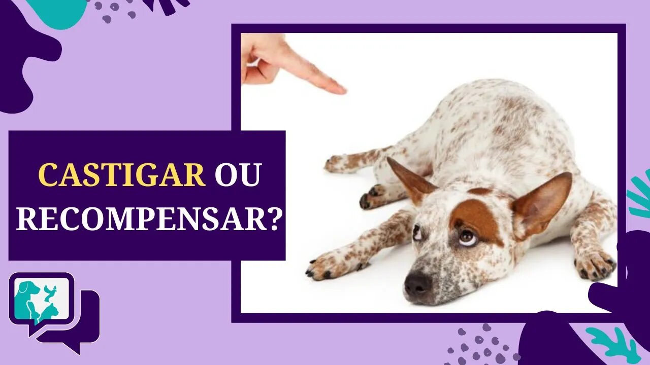 COMO ENSINAR O CACHORRO? CASTIGAR OU RECOMPENSAR?