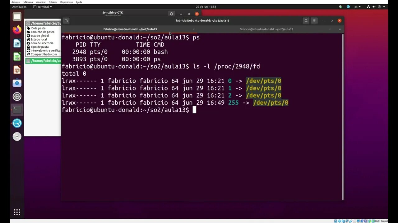 Acessando Descritores de Arquivos em Processos do Linux