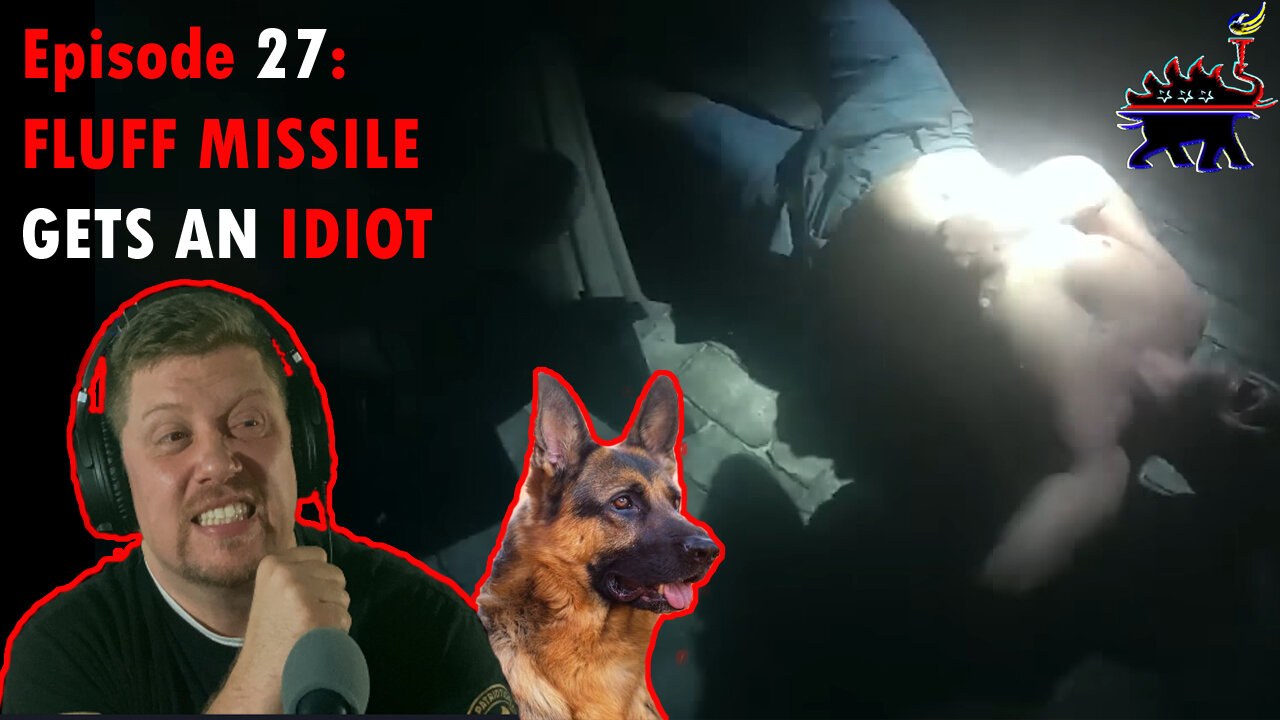 EPISODE 27: Toki, The Fluff Missile Gets The Bad Guy! #reaction #dog #police