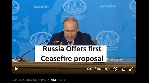 Russia makes first public ceasefire proposal to Ukraine