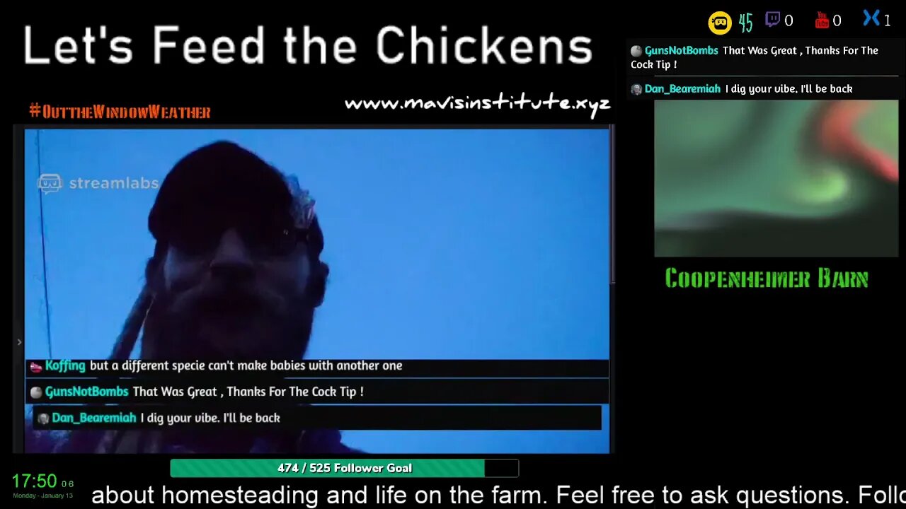 Let's Feed the Chicken: Ep28 : Farming and a sick day?