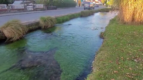 Ein Bach in Isny im Allgäu mit Enten und Schwänen/A brook with ducks and swans in an old German city