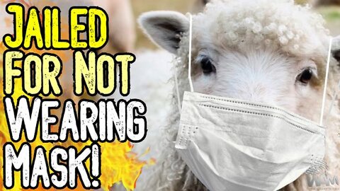 JAILED FOR NOT WEARING MASK! - As Narrative COLLAPSES The Tyranny Continues!