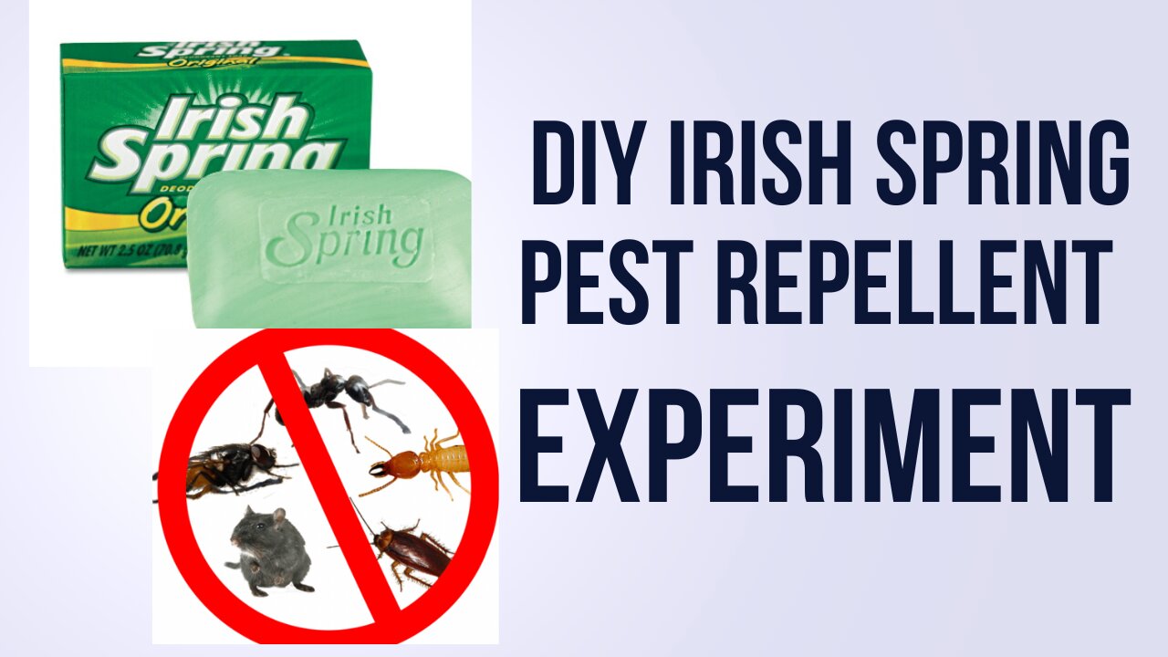 DIY irish Spring Soap PEST Repellent