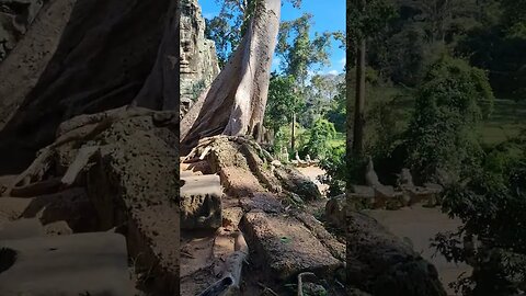 Angkor Wat And Surrounding Temples Siem Reap Cambodia 🇰🇭 #shorts #siemreap #cambodia #angkorwat