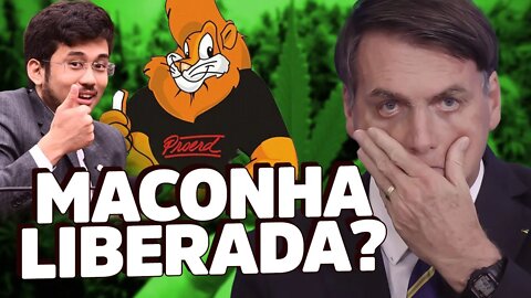 Câmara aprova legalização da MACONHA com veto de Bolsonaro?