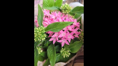 5. Tag: Die Freude Novene zu Ehren von Gott Vater