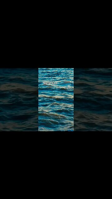 Reminder - Ali bin Abi Thalib #alibinabithalib #motivation #reminder