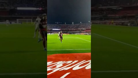 Gol do Gabigol contra o São Paulo!!!