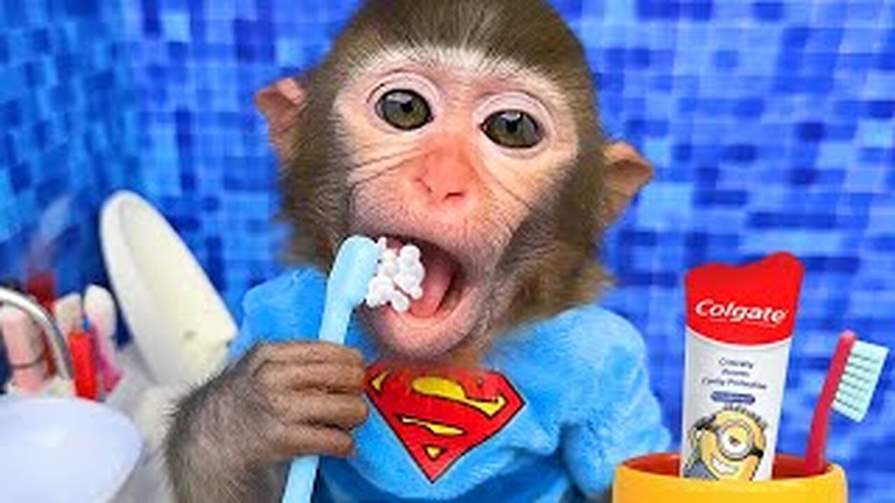 Monkey Baby Bon Bon Brush Teeth in the toilet and plays with duckling - Brush your teeth song