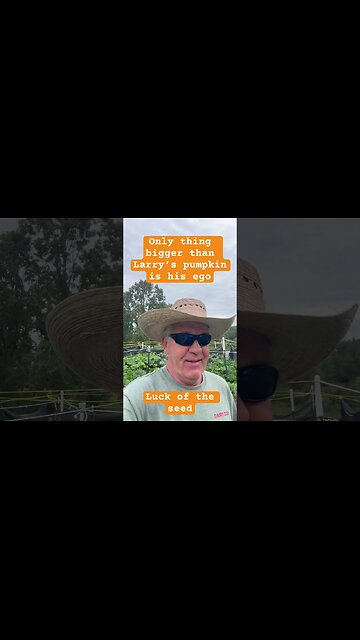Giant Pumpkin EGO ! #bubba #giantfruits
