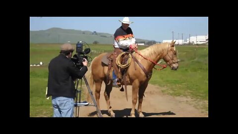 Discussing Bouncing & Balance In The Saddle - A Little Look At Horse Tracking & Confirmation