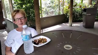 Busch Gardens Live for 300 subs