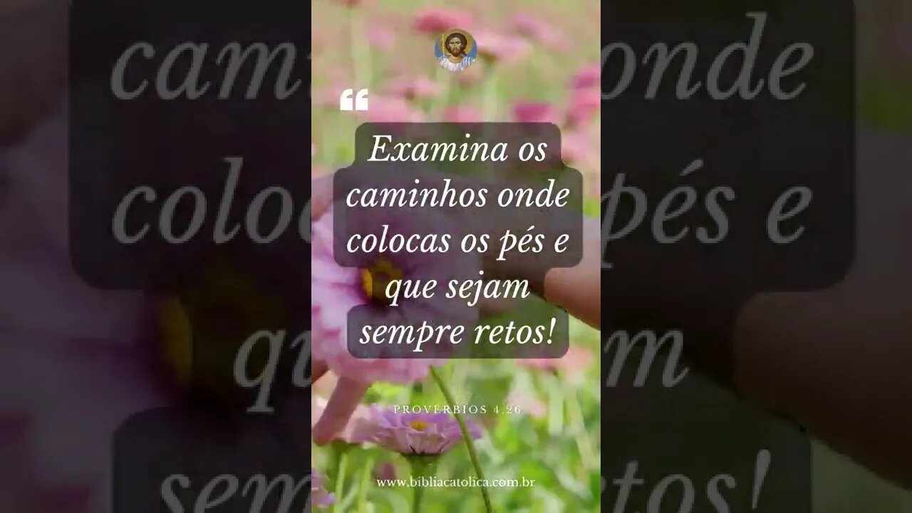 Provérbios 4,26 - Examina os caminhos onde colocas os pés e que sejam sempre retos!