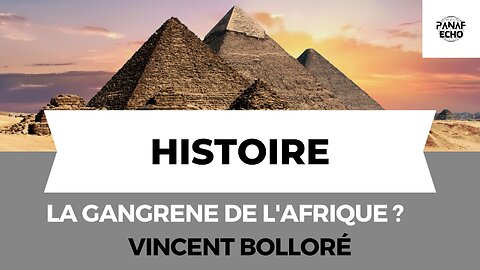 La Gangrène de l'Afrique? Vincent Bolloré