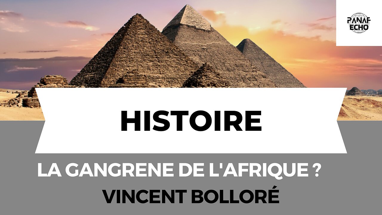 La Gangrène de l'Afrique? Vincent Bolloré