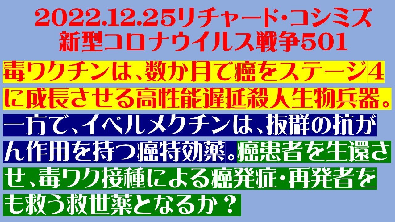 2022.12.25 リチャード・コシミズ新型コロナウイルス戦争５０１