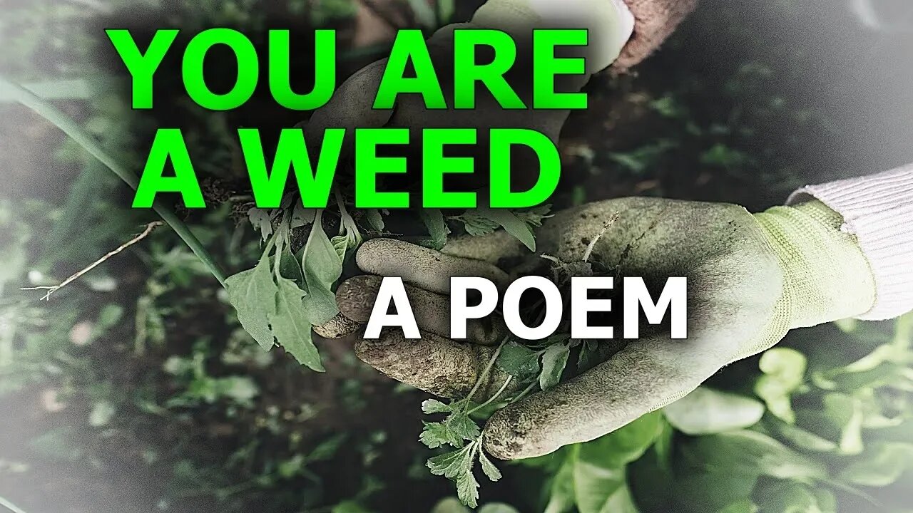 YOU Are A Weed To LEAD